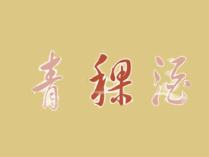 S޹˾